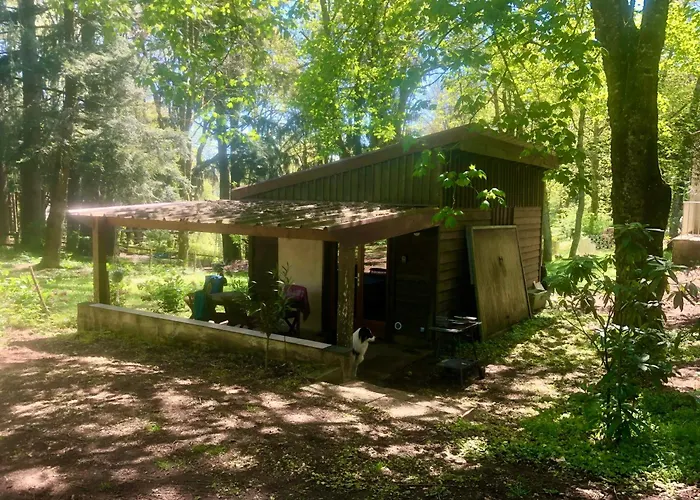 La Cabane